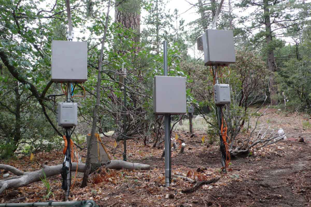 Experimental forest with sensors, photo by author.